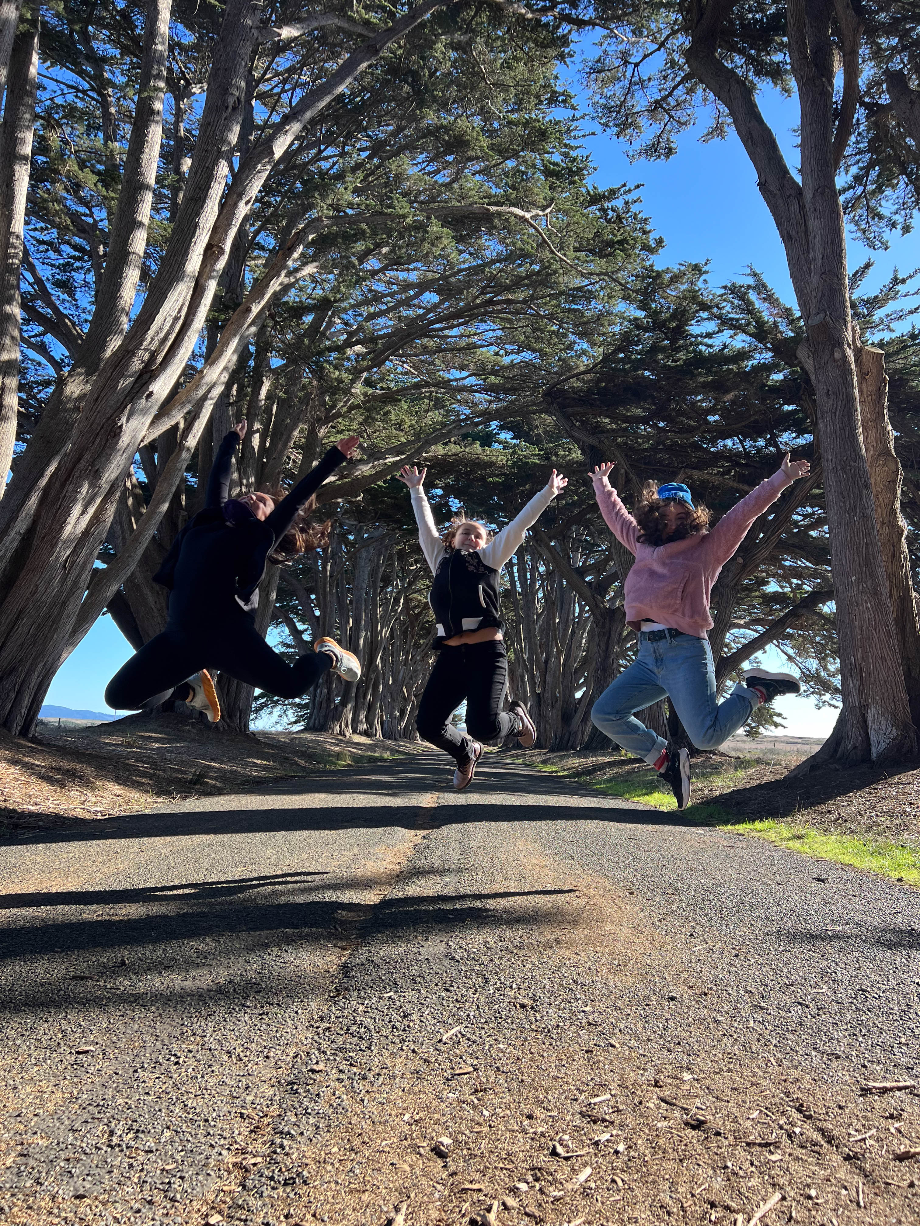 https://0201.nccdn.net/1_2/000/000/0bb/51b/san-fran-order-2-90.jpg