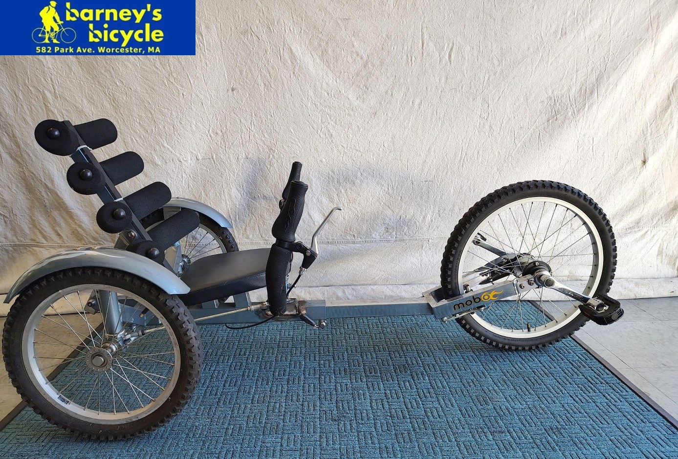 Mobo Recumbent
Wheel Size: 20"/16"
Speeds: 1spd w/reverse
Price: $224.00 (Pro Tuned)
