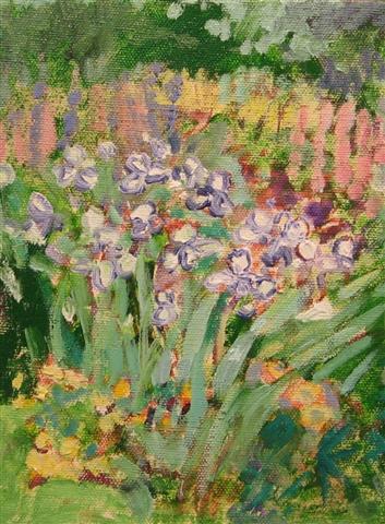 Taylor, Violet Borders 8x6