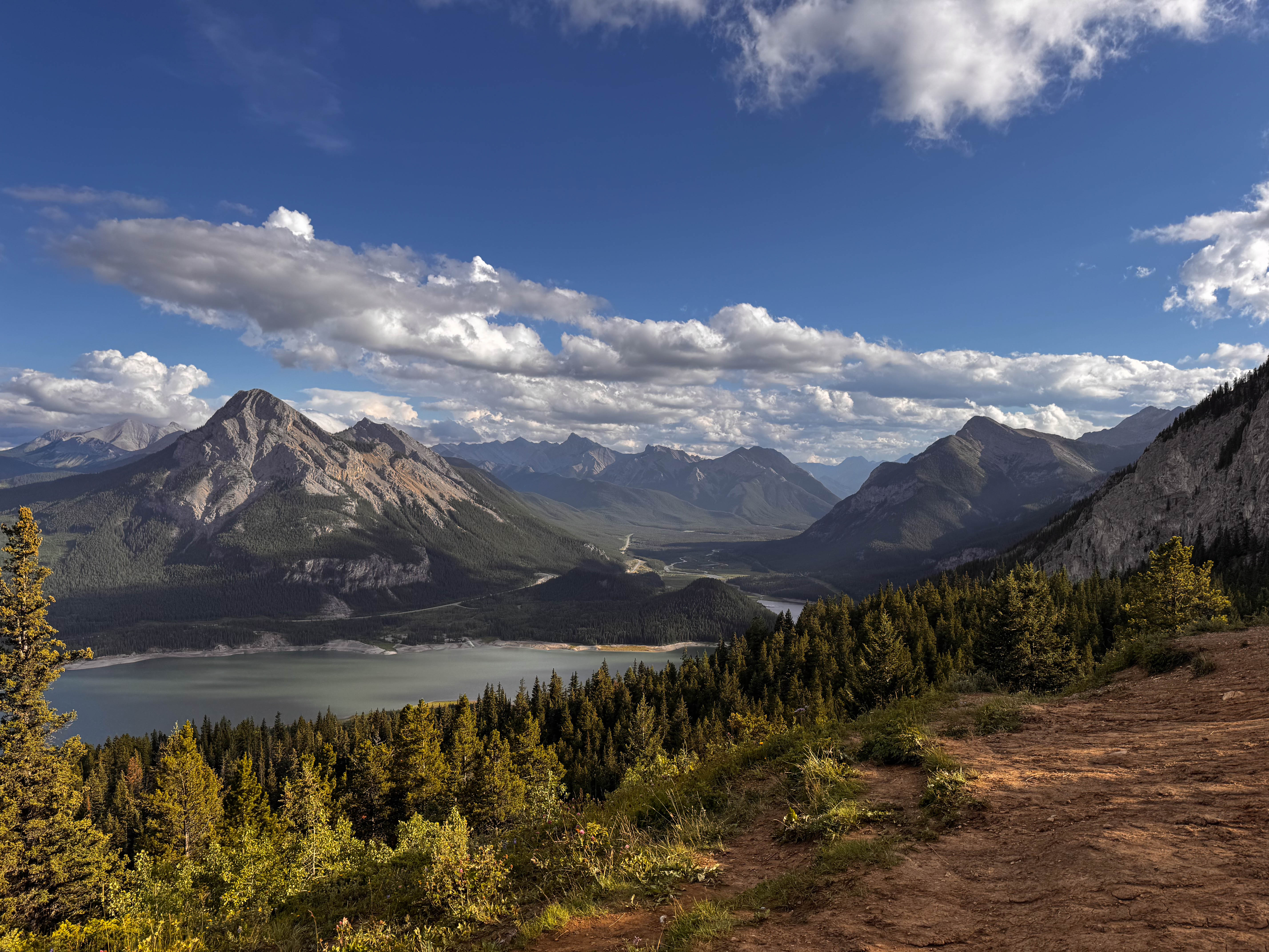 https://0201.nccdn.net/1_2/000/000/0bb/a98/calgary-order-6.jpg