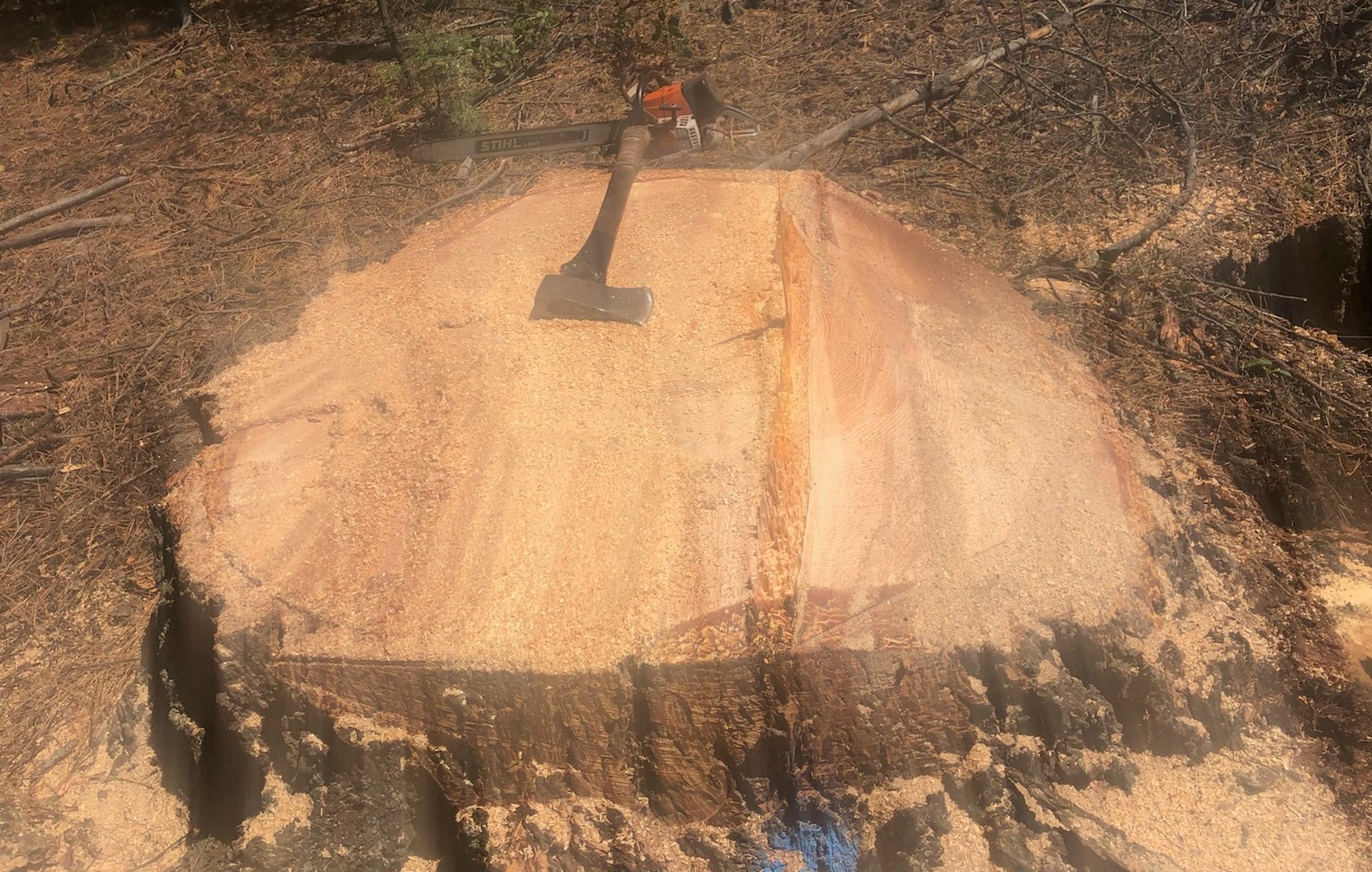 https://0201.nccdn.net/1_2/000/000/0bc/00c/perfect-stump-nick-stacher.jpg