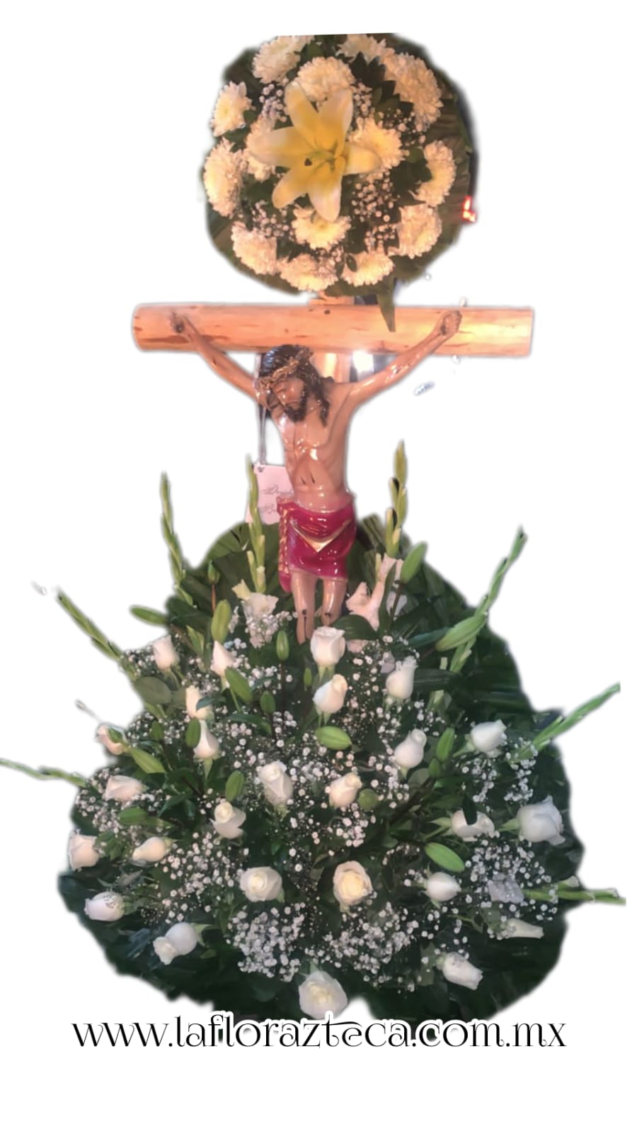 LFA-909 Arreglo c/imagen en 3D
Precio $2,180