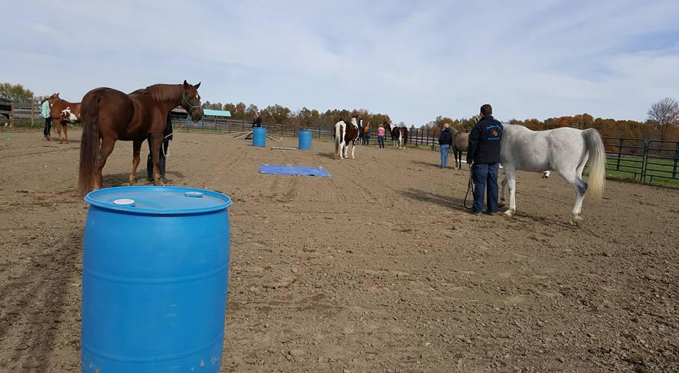Playing at a Positive Way Play Day