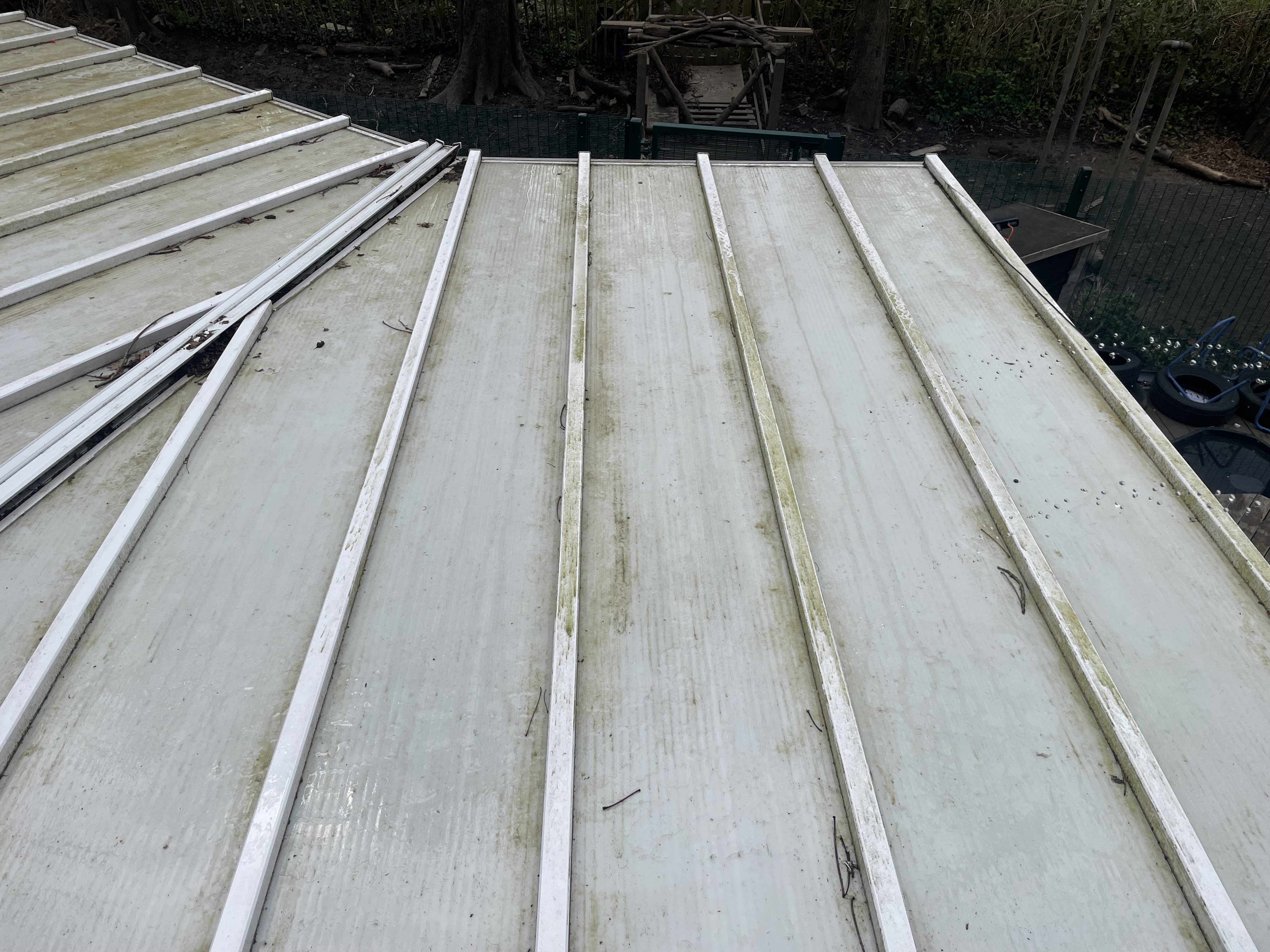 Canopy Clean - Before