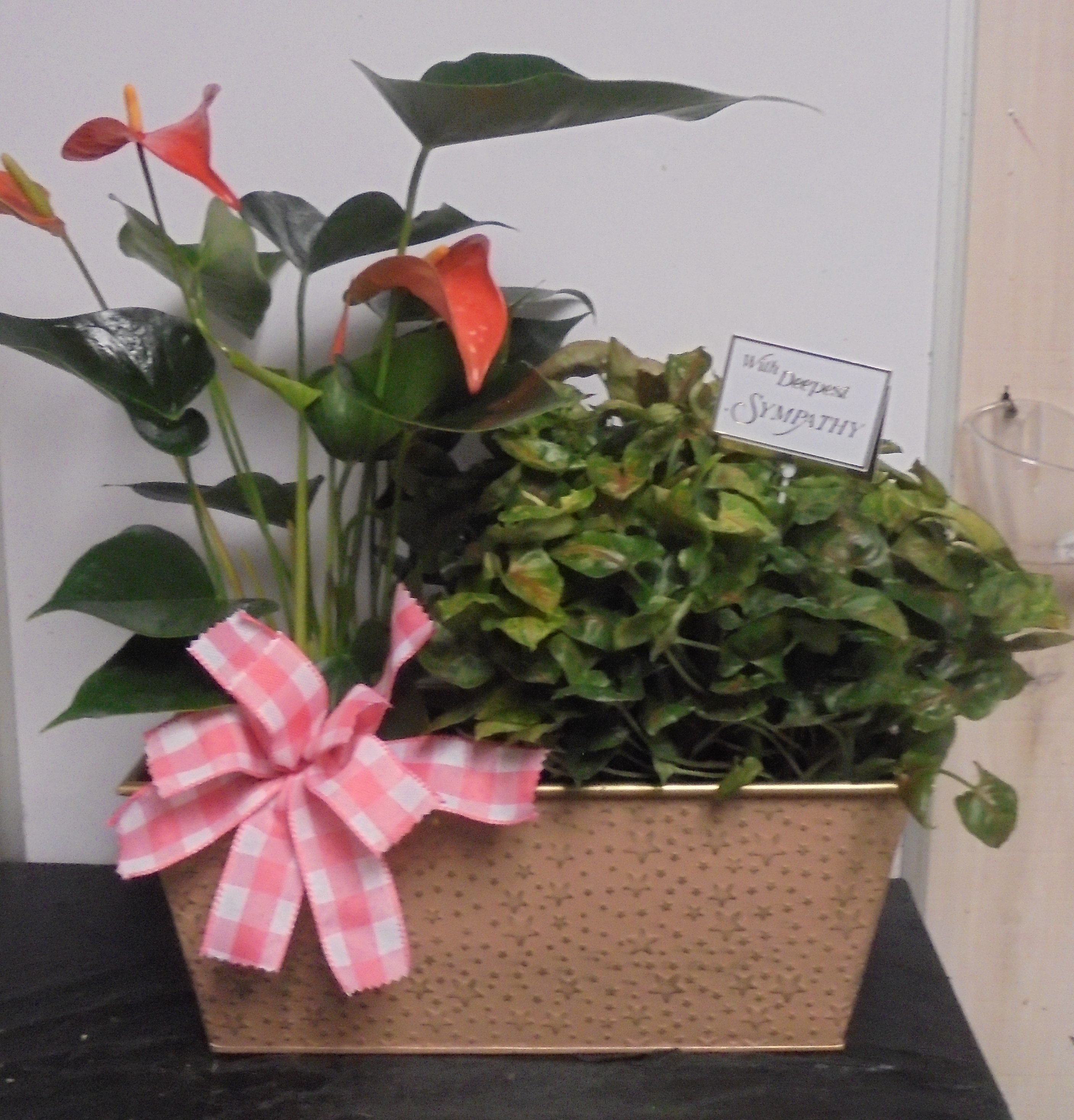 (20) "Double" Plant Combo
( Anthurium & Butterfly)
$75.00