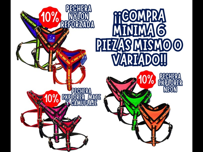 PECHERA EXPLORER NEON