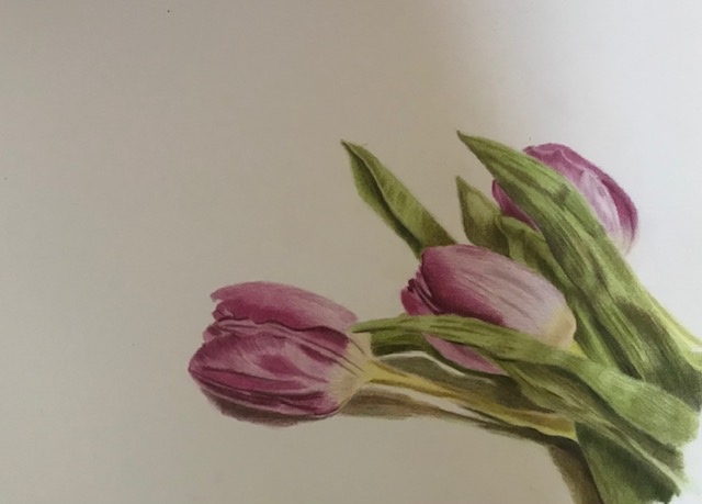 Tulips
9x12
Mixed Media Vellum with Colorless Blender