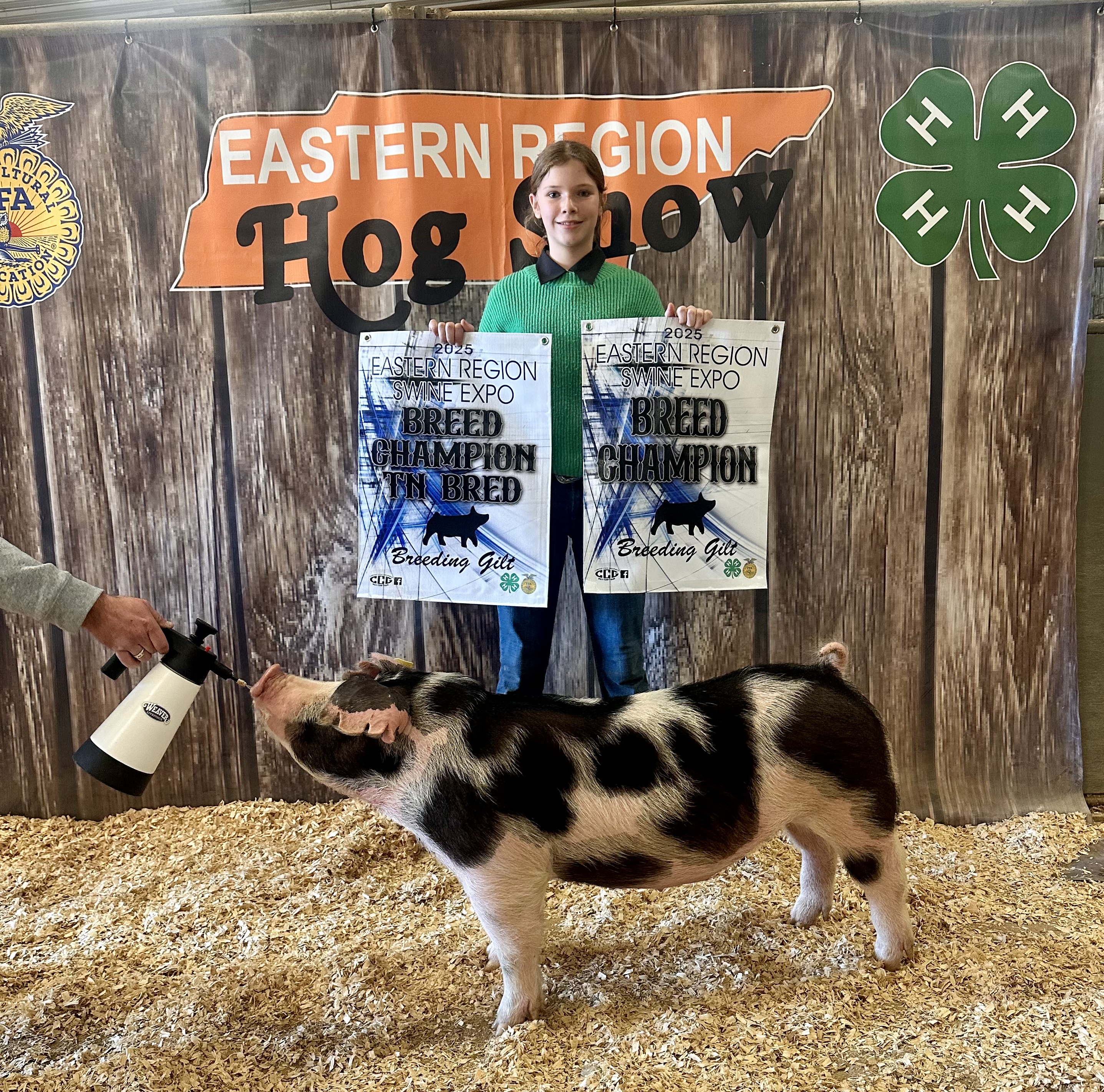 Emerson Satterfield
2025 TN Eastern Region Show
Champion Spot Breeding Gilt
Champion TN Bred Spot Breeding Gilt