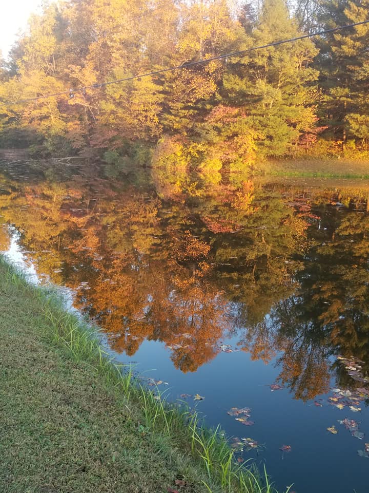 Reflected lower pond landscape