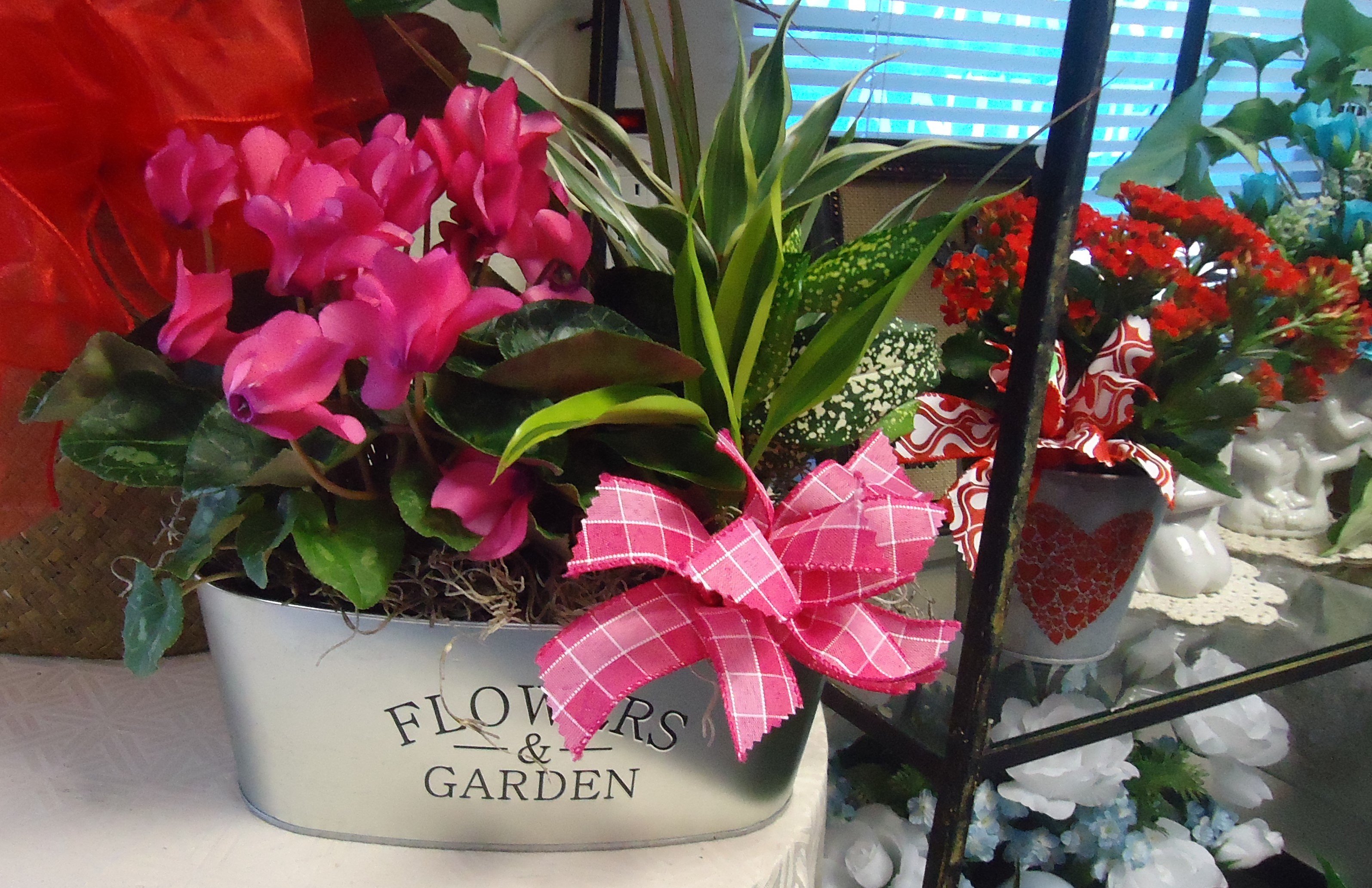 Planter With Blooming/Green Plant
$25.00