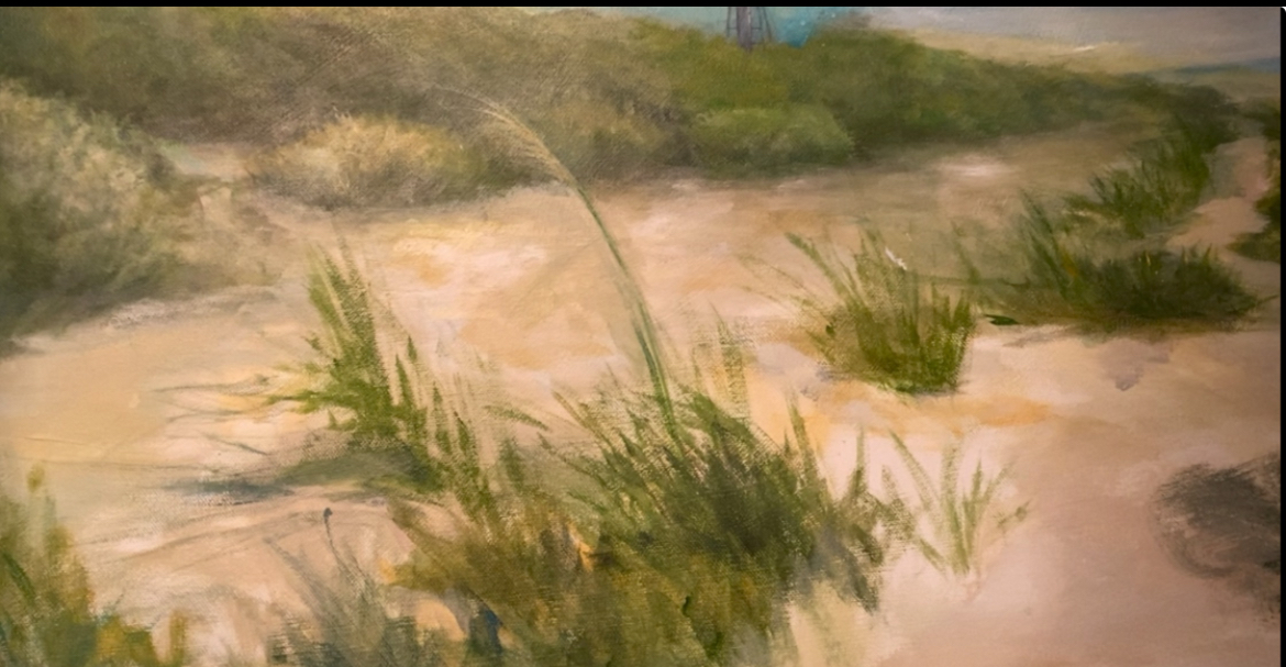 Sanibel Island (Close up)