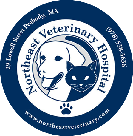 Northeast Veterinary