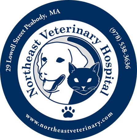Medical Care | Small Animals | Northeast Veterinary Hospital