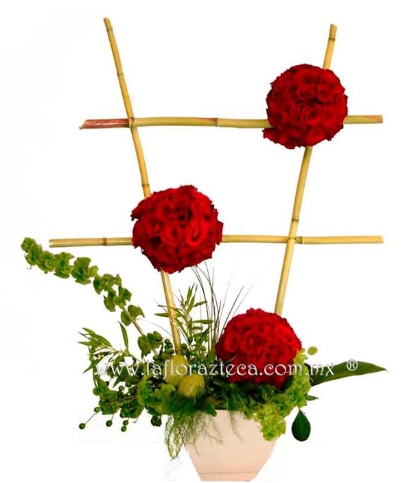 LFA-RS012 Estructura de Bambu
Precio $1,380