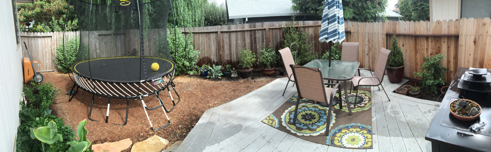 AFTER - Panoramic high-use family backyard with tomatoes, kale, broccoli, herbs, roses, Lavatera, Calla Lilies, and a potted Christmas tree. 