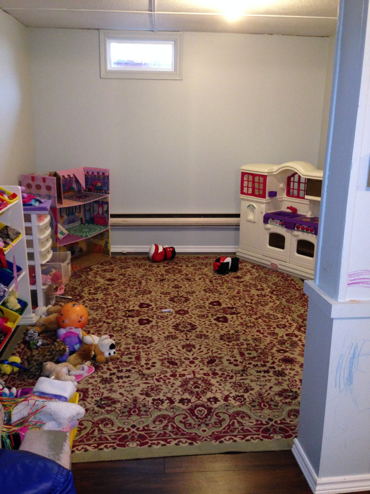 553 Michael Basement