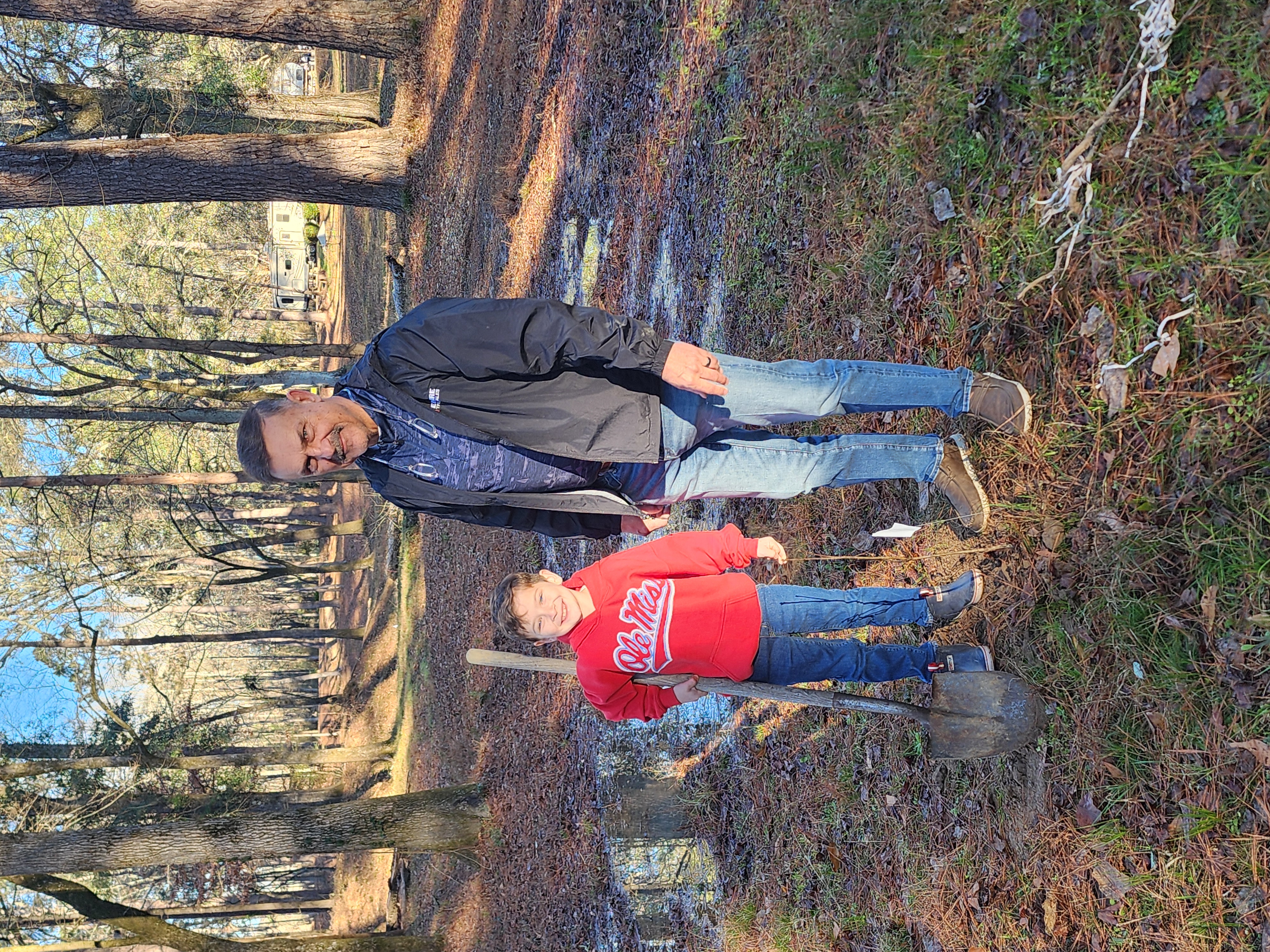 a close up of a tree branch with leaves