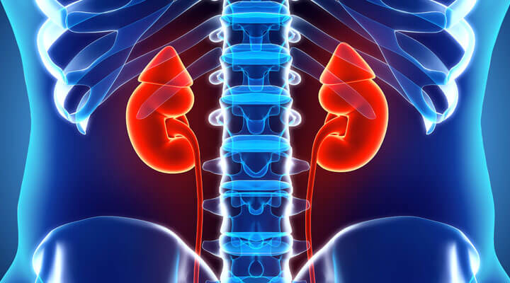 Dr. Mota, Urólogo - CIRUGIA DE RIÑONES