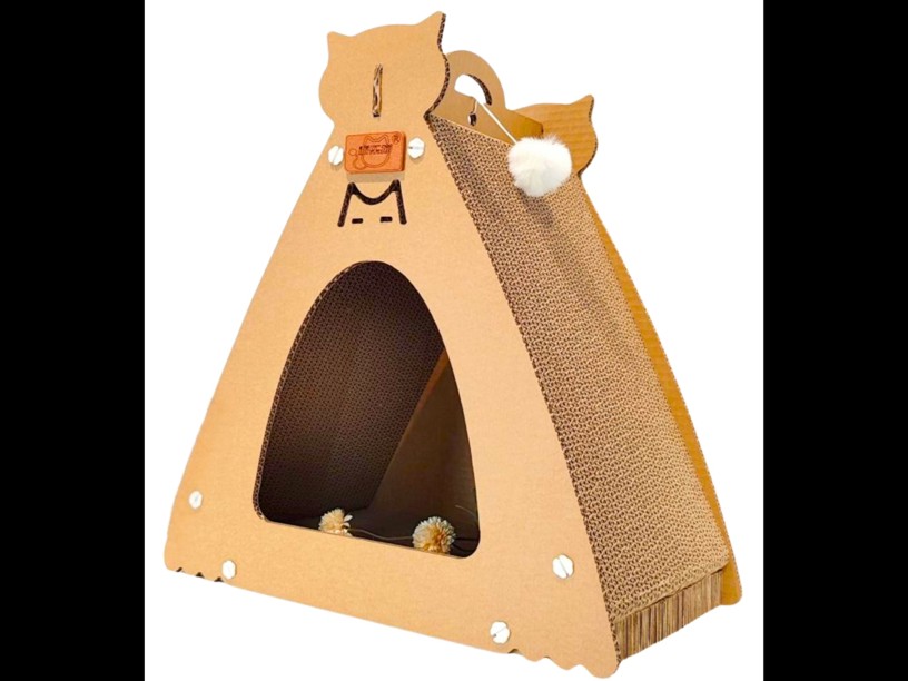 SA25 CAT-CASITA RASCADERO
 (KR-2429)