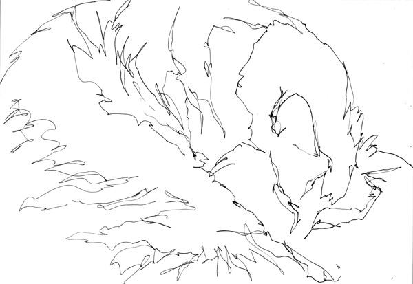 Cosmo - catnapping #9 (pen and ink)