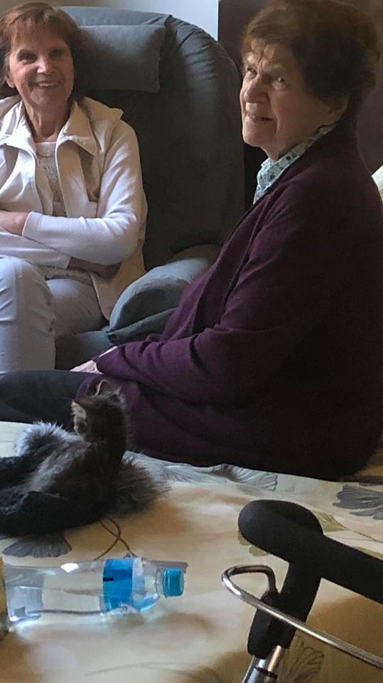 Tinkerbell had a little trip today to visit and elderly friend that has just gone into a retirement home. This little angel cheered Hannie up so much as it is a big change for her. Not only that, Tinkerbell also put smiles on all the nurses faces as well as other residents 💕 was a big day for her and she slept comfortably all the way home on the passenger seat