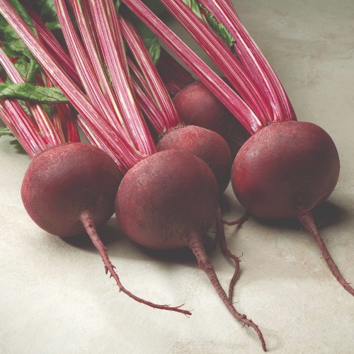Beet Red Ace Beet Red Ace