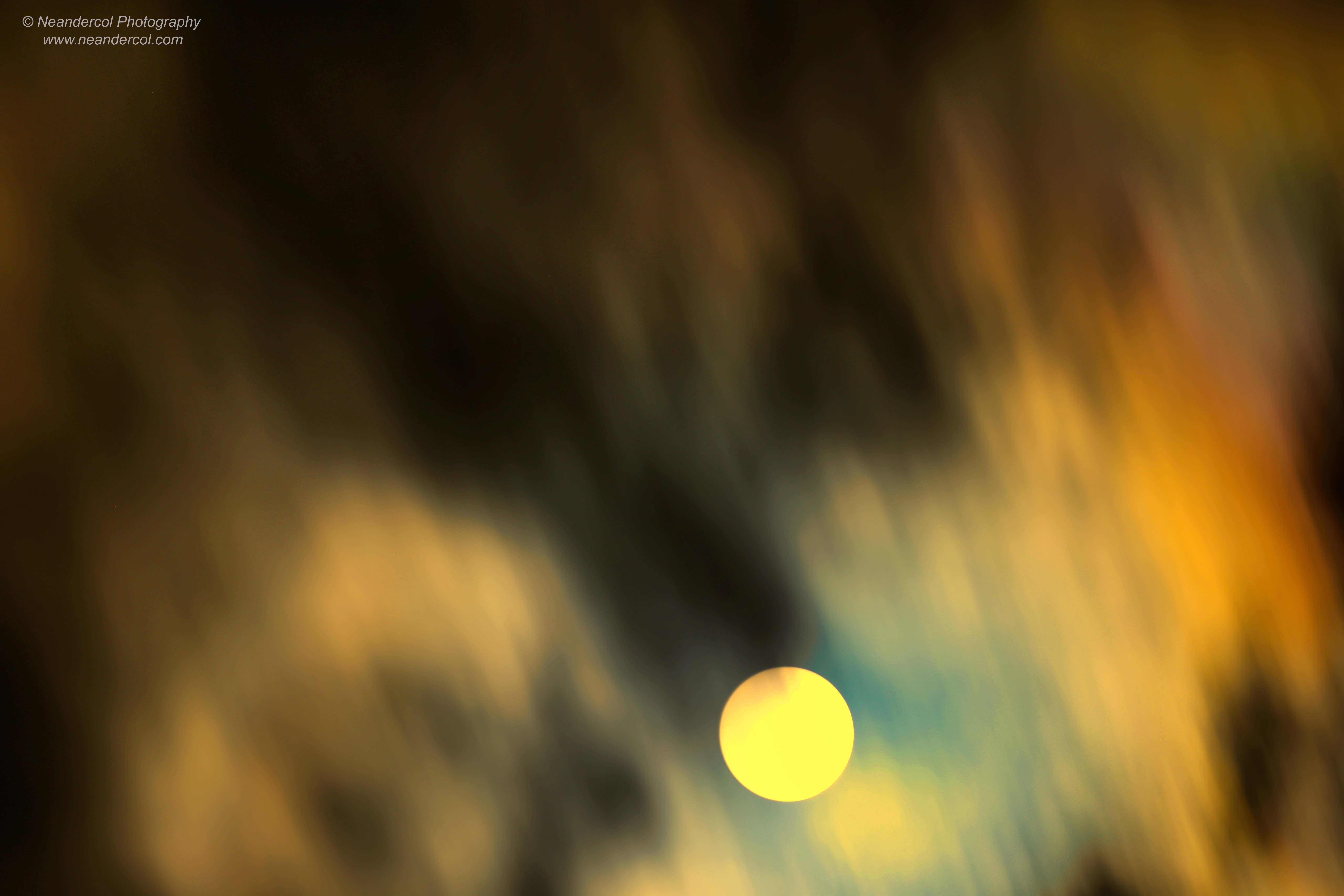 Sun 568(1)