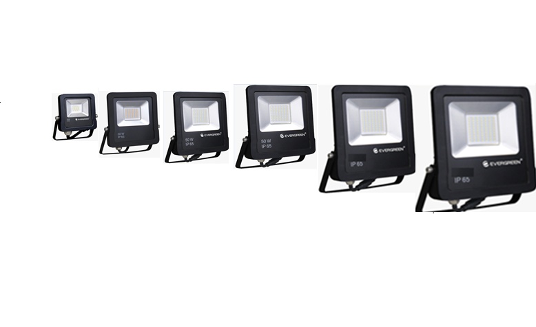 Reflector SMD 10W 6400°K 
100-240V  Evergreen  Cod-
15362
Reflector SMD 20W 6400°K 
100-240V  Evergreen Cod-
15363                
   Reflector SMD 30W 6400°K 
100-240V  Evergreen Cod-
15364      