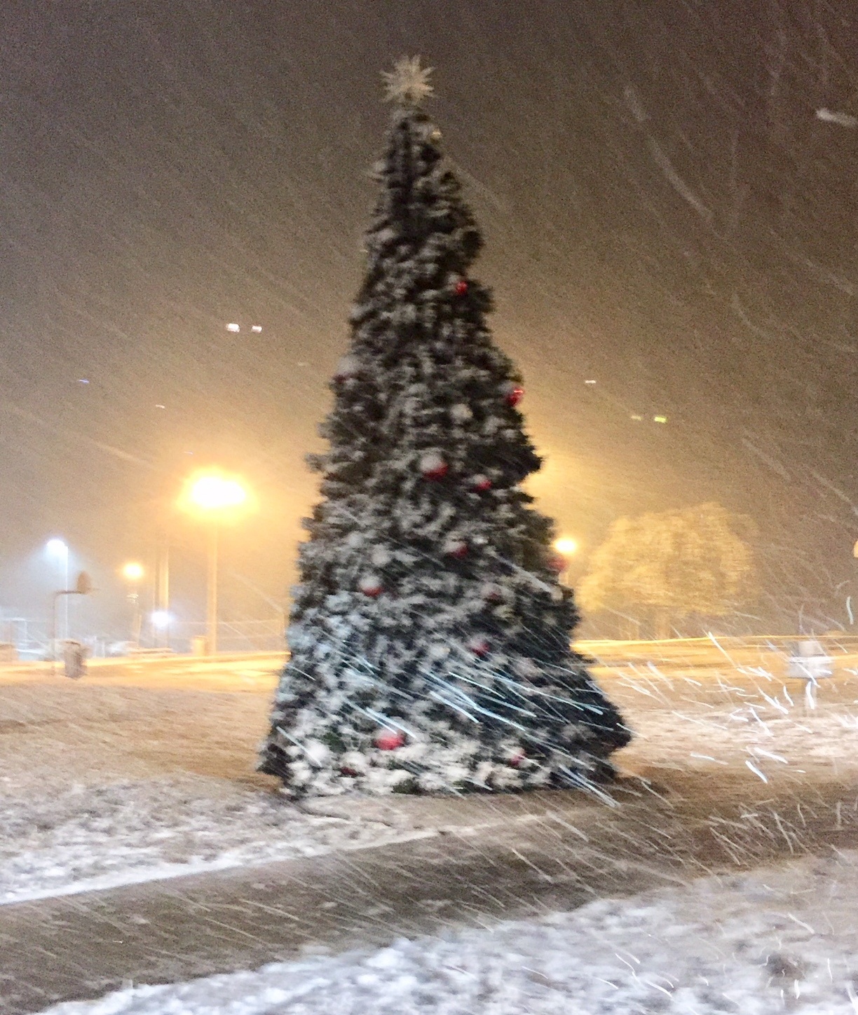 Karnes City Community Chamber of Commerce City of Karnes City Park