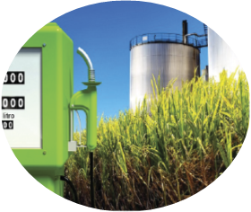 INDRUSTRIA AZUCARERA