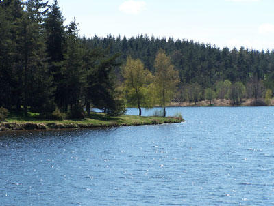https://0201.nccdn.net/1_2/000/000/0c1/e1a/skgi_3901072_21616-400x302.jpg