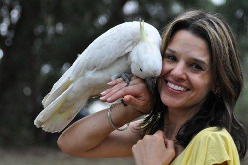 One of Sharon's cockatoos she raised.