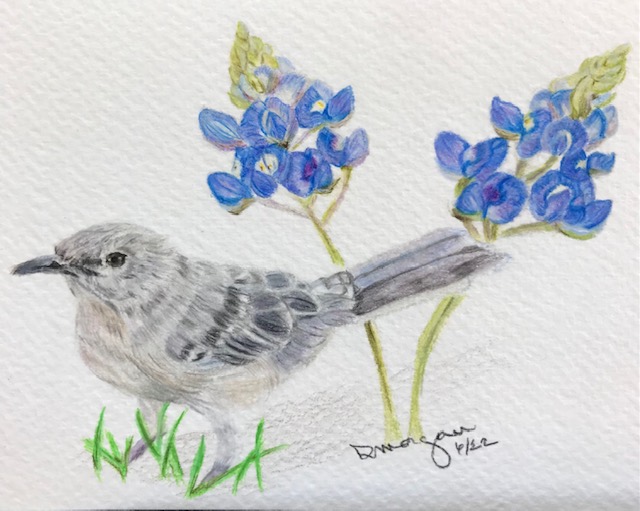 Texas State Bird & Flower
Mockingbird/Bluebonnet
4x6
Cold Press Watercolor Paper