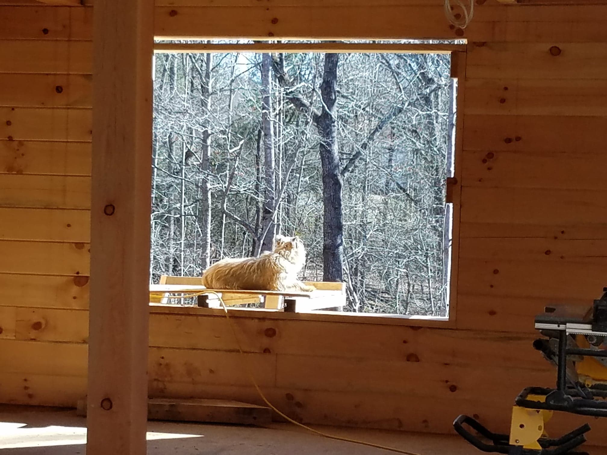 Main Floor Construction (With Visitor)
