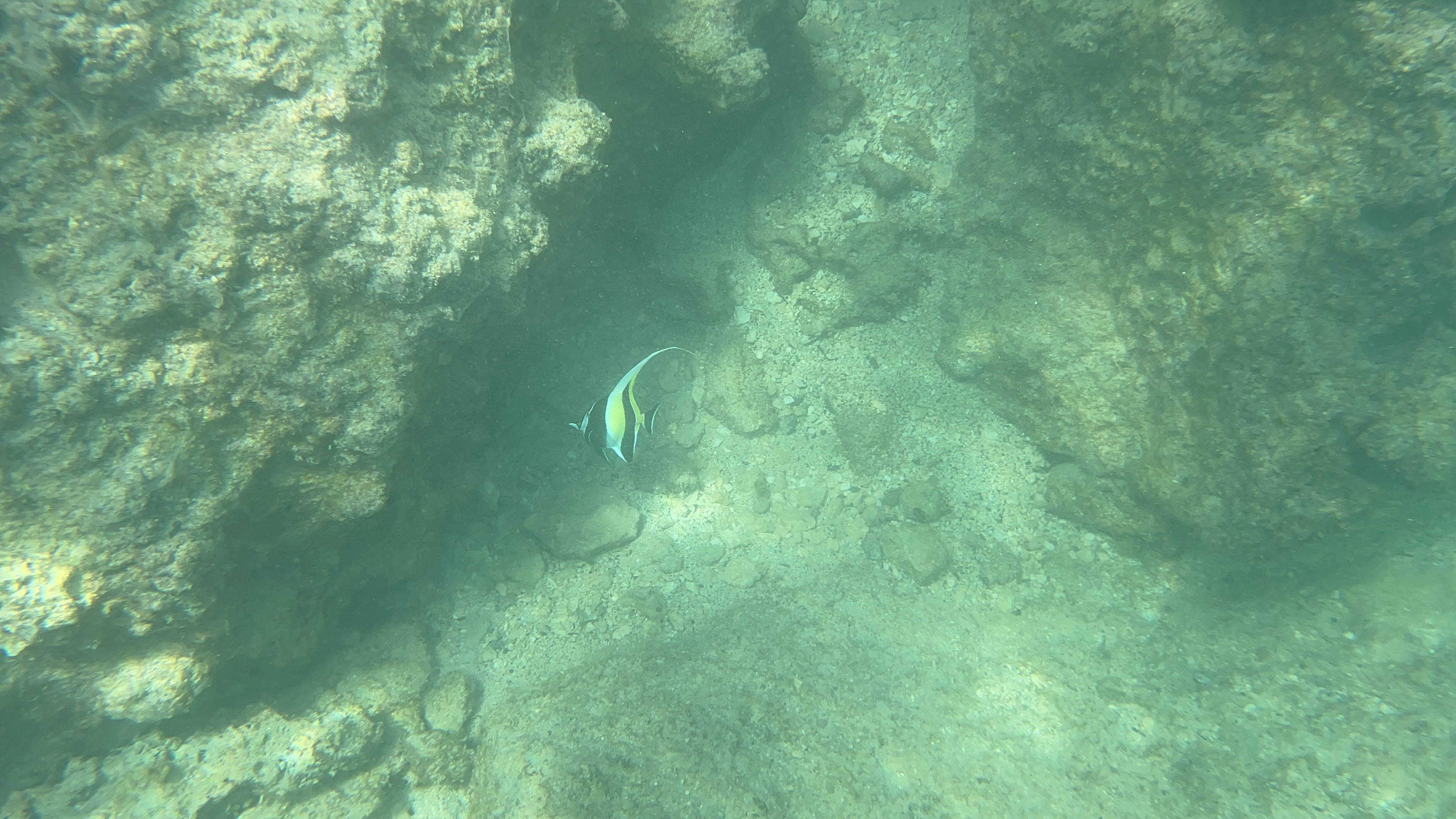 https://0201.nccdn.net/1_2/000/000/0c2/48d/hawaii-order-118.jpg