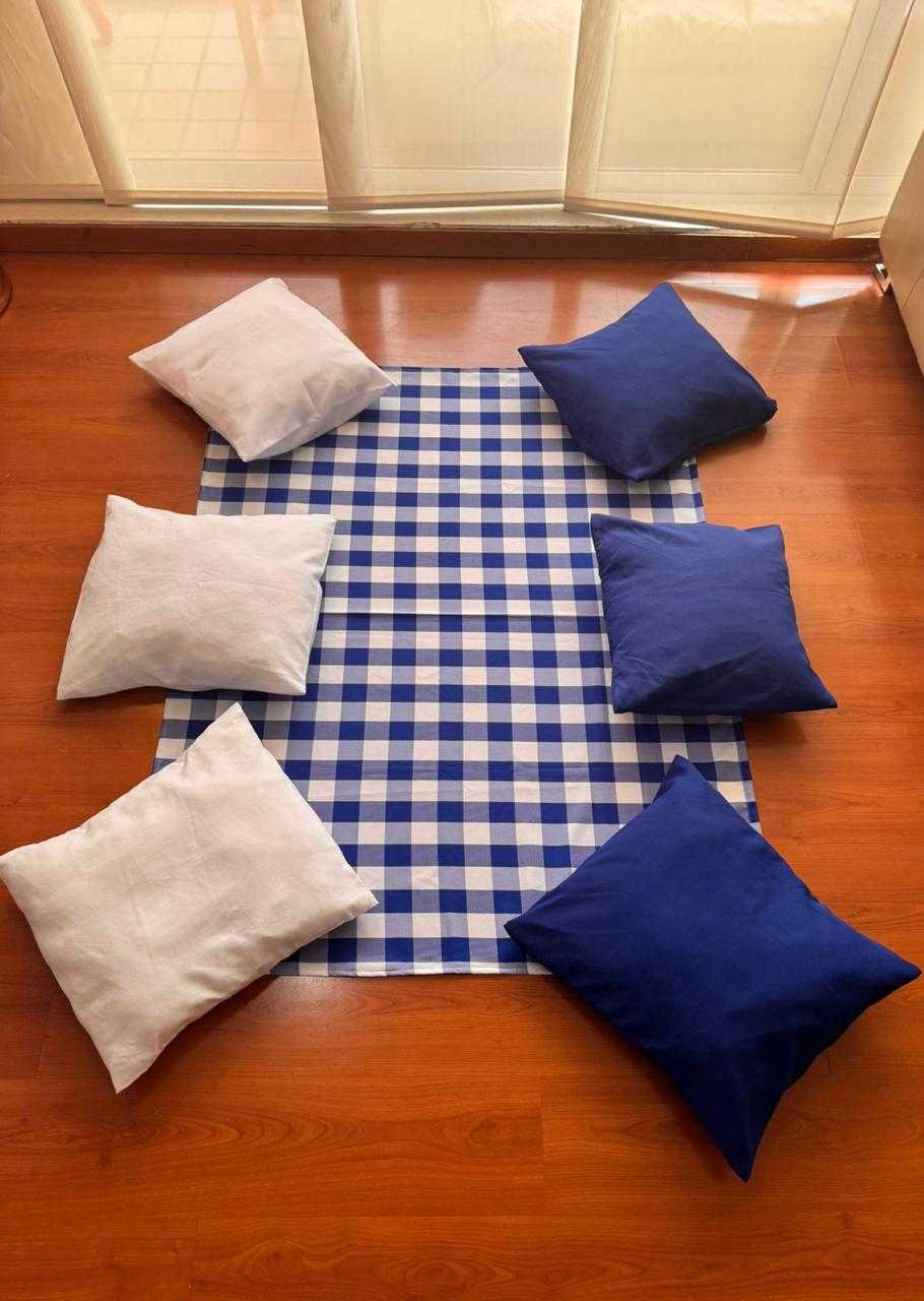 Set picnic
6 cojines
Mantel
$50.000