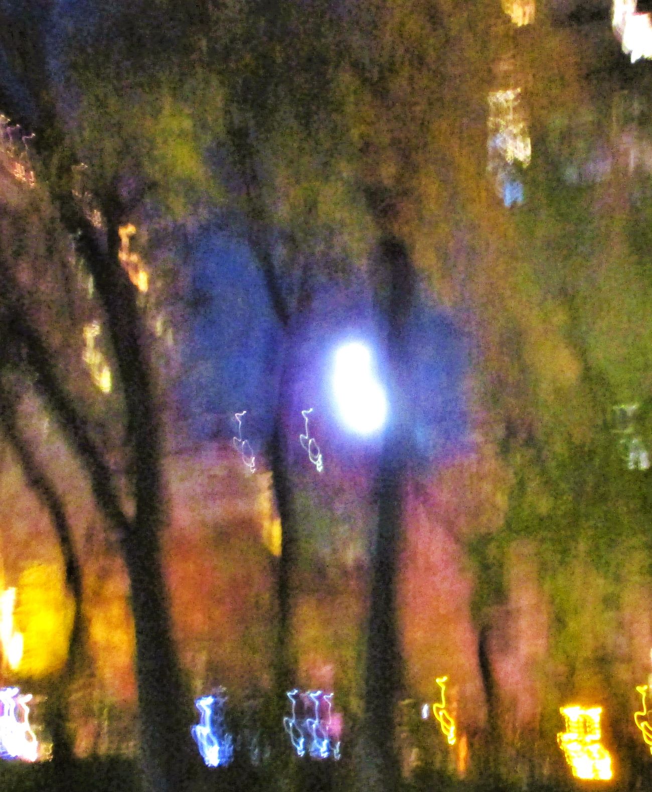 The Moon in the Park
