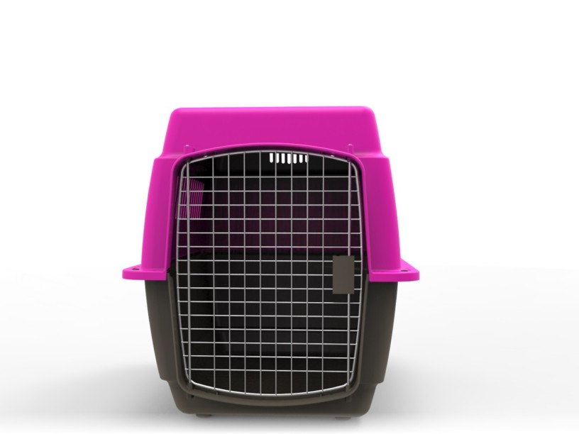 TRAA03 TRASPORTADORA 
DUNA GRANDE COLOR