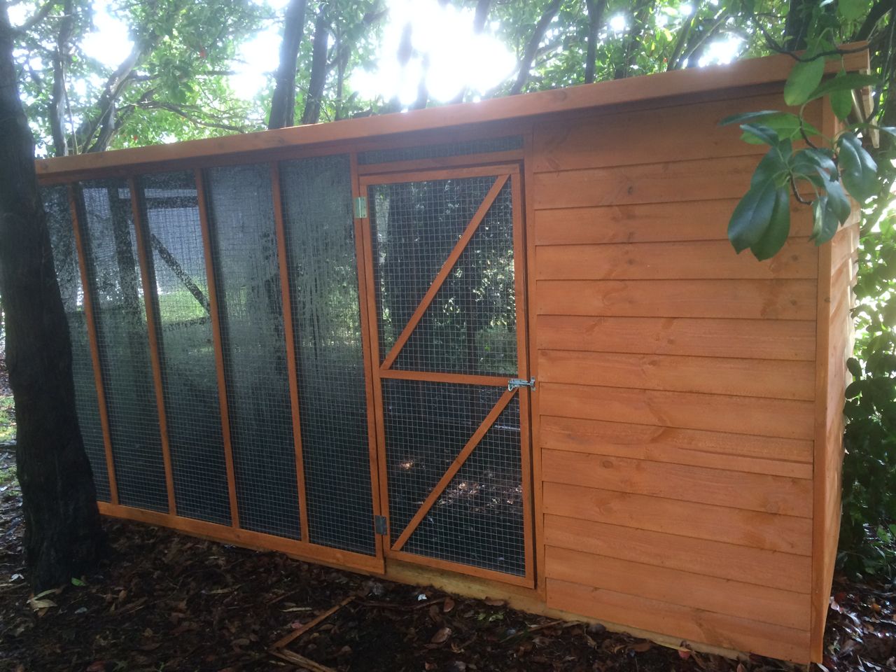 all wall covered in 'Paw Mesh' against mosquitoes.