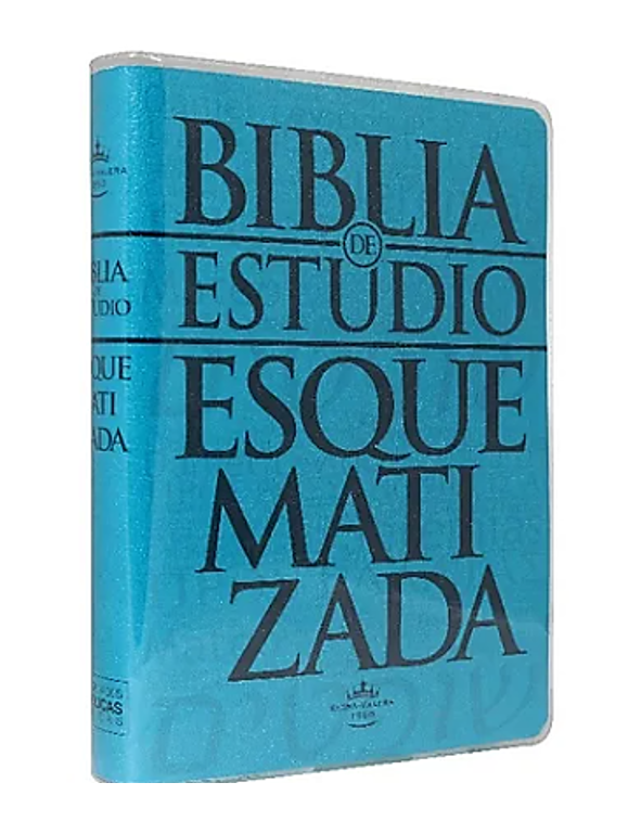 https://0201.nccdn.net/1_2/000/000/0c3/b88/biblia-de-estudio-esquematizada.png
