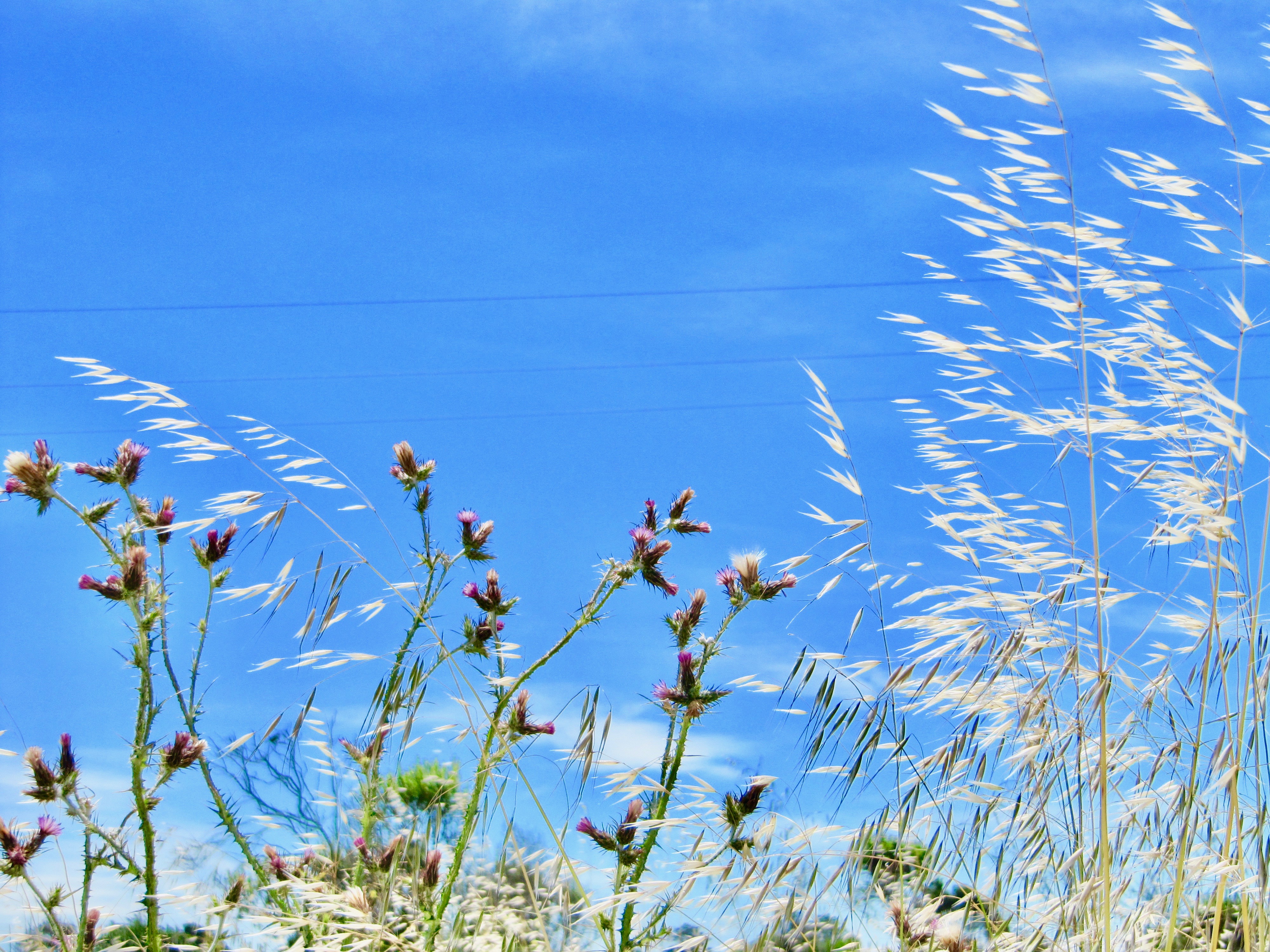 scape - series 1:8 2010