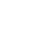 Link Icon