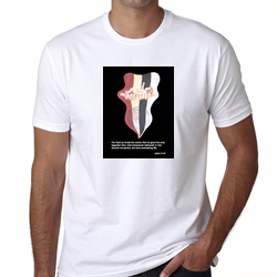 NB White Tshirt Image