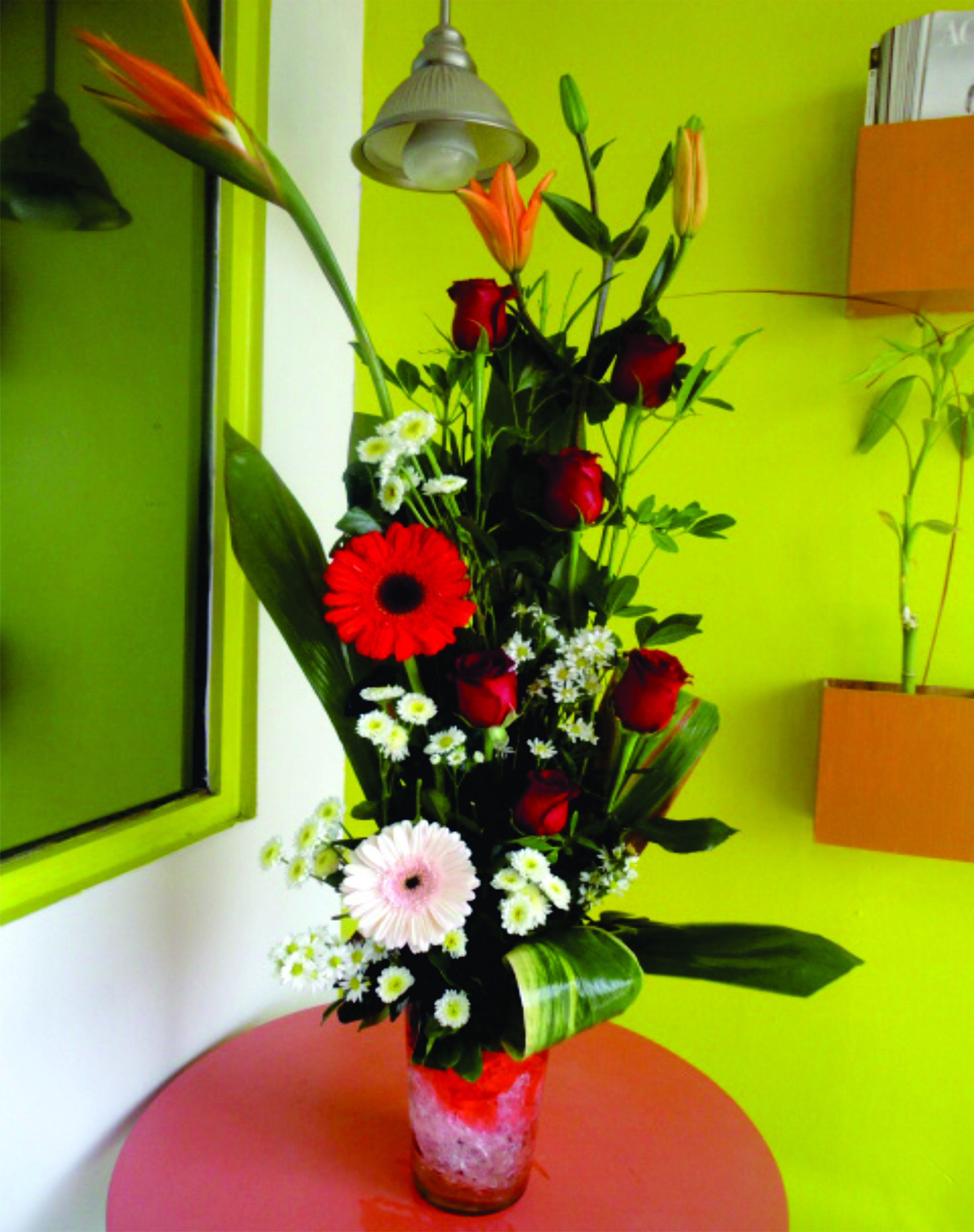 Arreglo A9 de 6 rosas rojas con dos gerberas y tres avez de paraiso.
$ 700