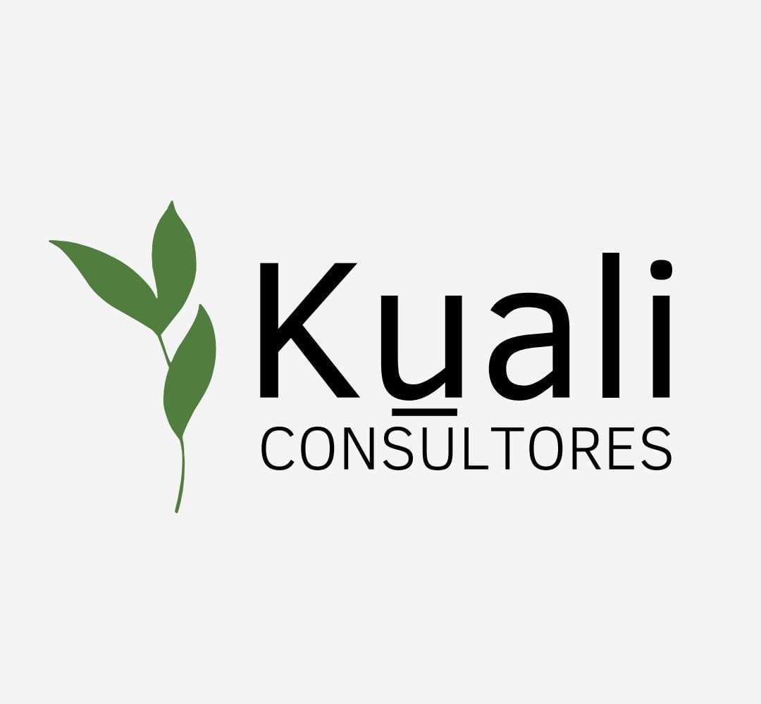 Kuali consultores