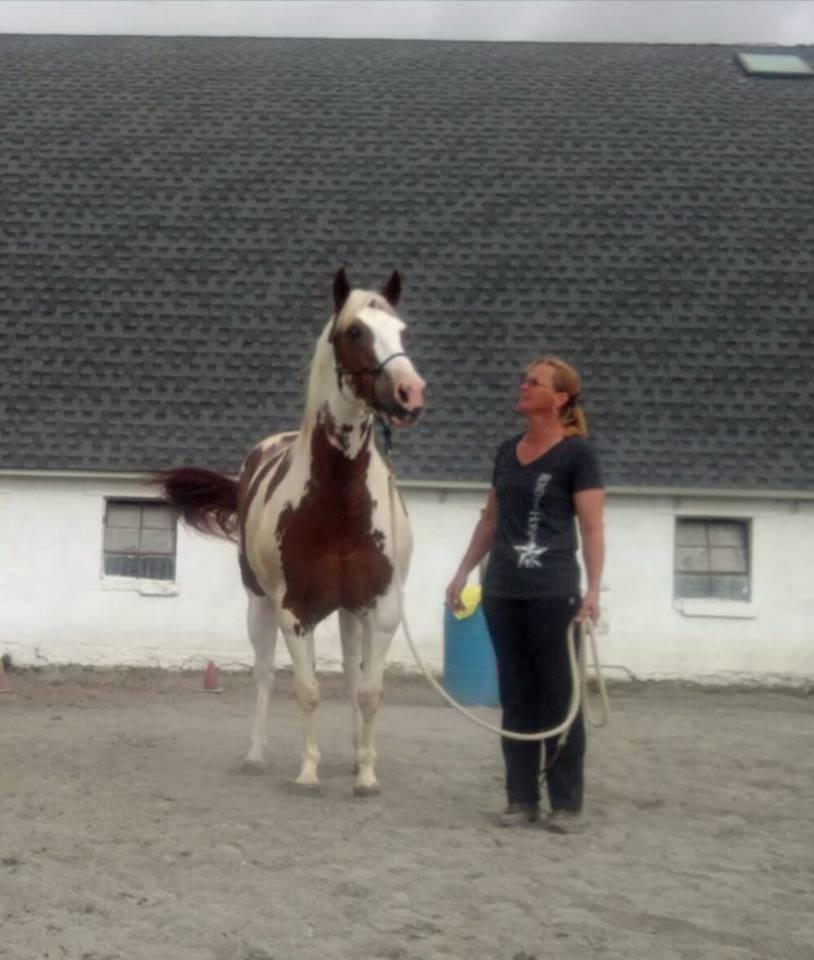 Kaden: Five years after she was started, here at Positive Way, she came back as a companion horse for Farrah while Farrah was in training here.