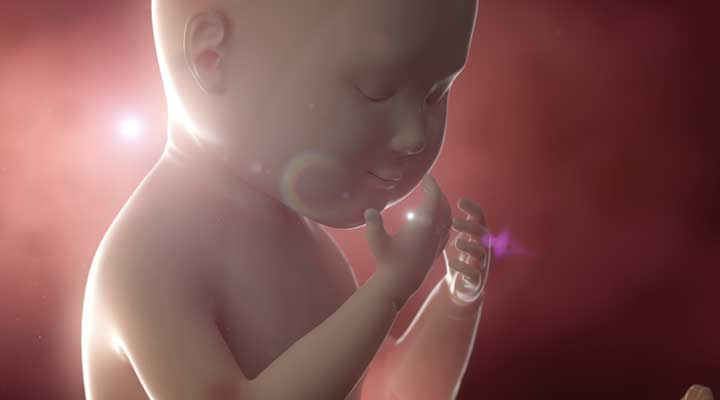 Dr. Javier Lee Orozco - SEGUIMIENTO DE EMBARAZOS