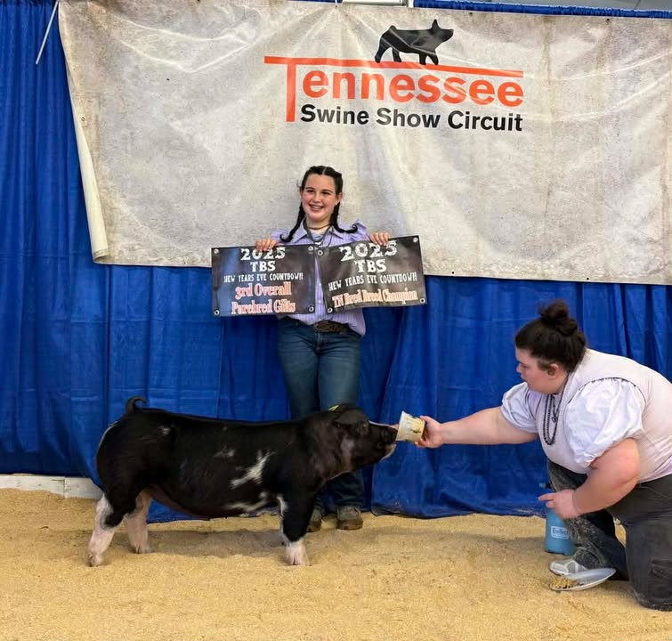 Kinley Porter
2025 TBS New Year's Eve Countdown
Champion Spot Gilt
3rd Overall Purebred Gilt