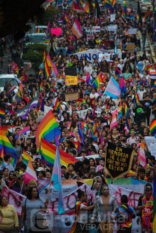 Manifestación LGBTQ+ con multitud de personas marchando con banderas arcoíris y carteles de apoyo.