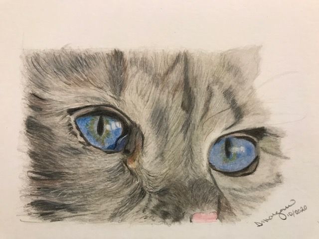 Cat Eye Study I